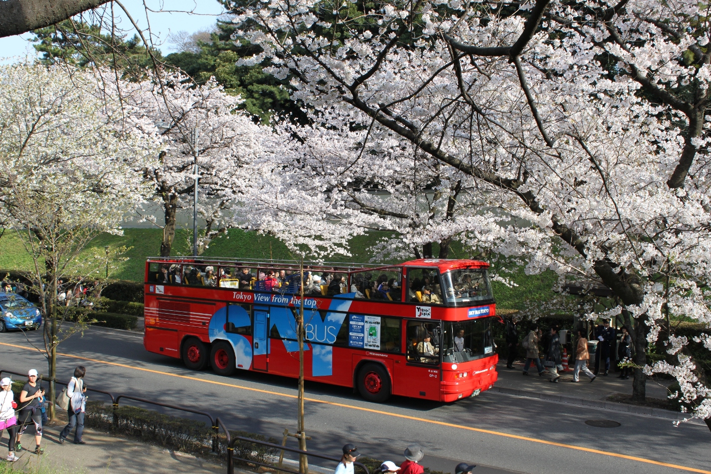 Hanami on the go — Take a whirlwind bus tour of the best cherry blossom