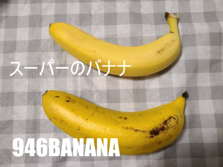 Japan has 10 bananas from the coldest prefecture in the country, but