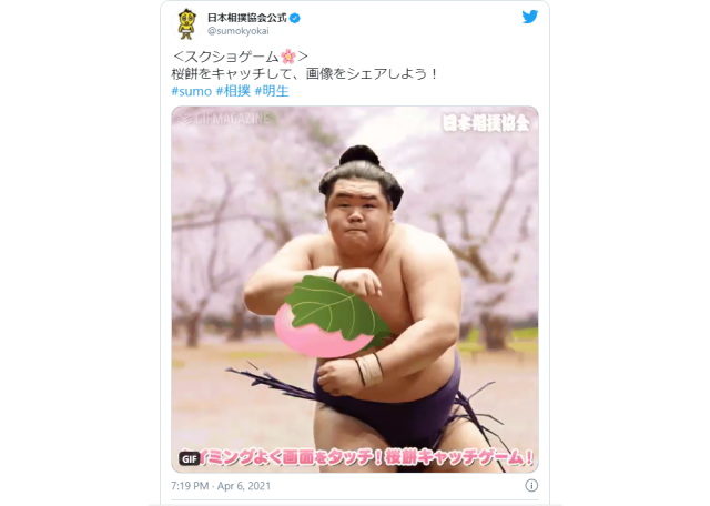 Japan Sumo Association prepares a sakura-styled sumo screenshot game for your pleasure