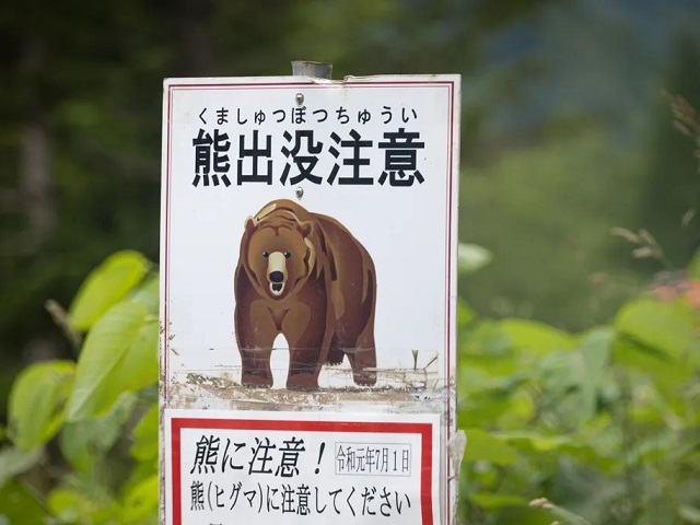 Busy morning in Sapporo as bear attacks coincide with naked man walking around town【Videos】