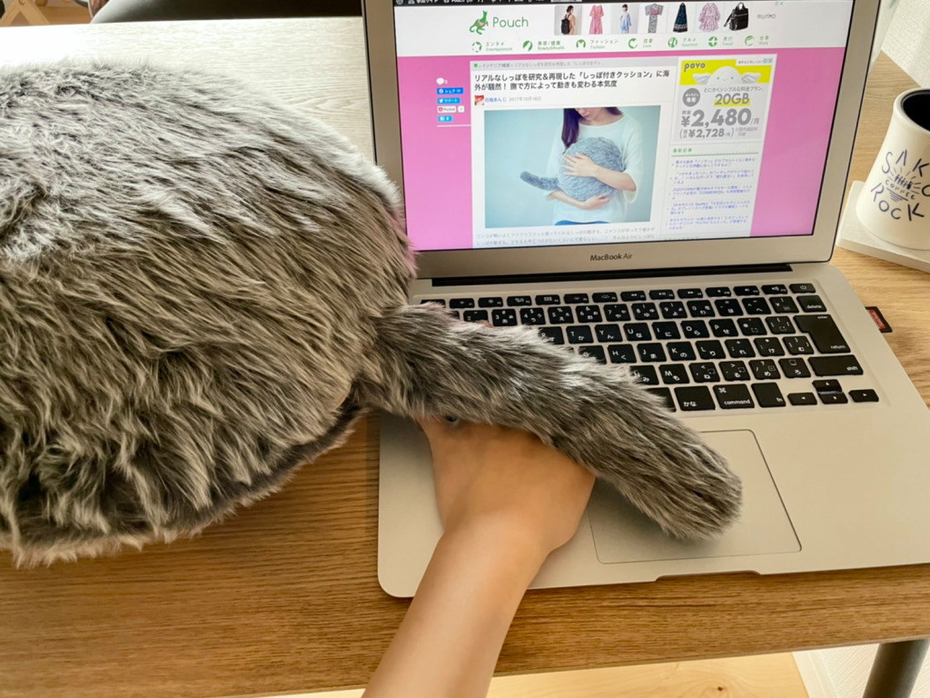 We adopted a furry, cuddly, tailed cat cushion to keep us company