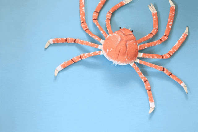 Get this molting crab plushie from Felissimo for the sea creature fan in your life