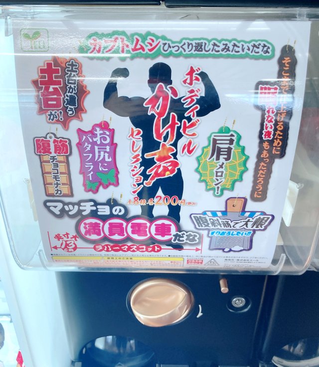 The most preposterous adult gacha capsule toys at Akihabara