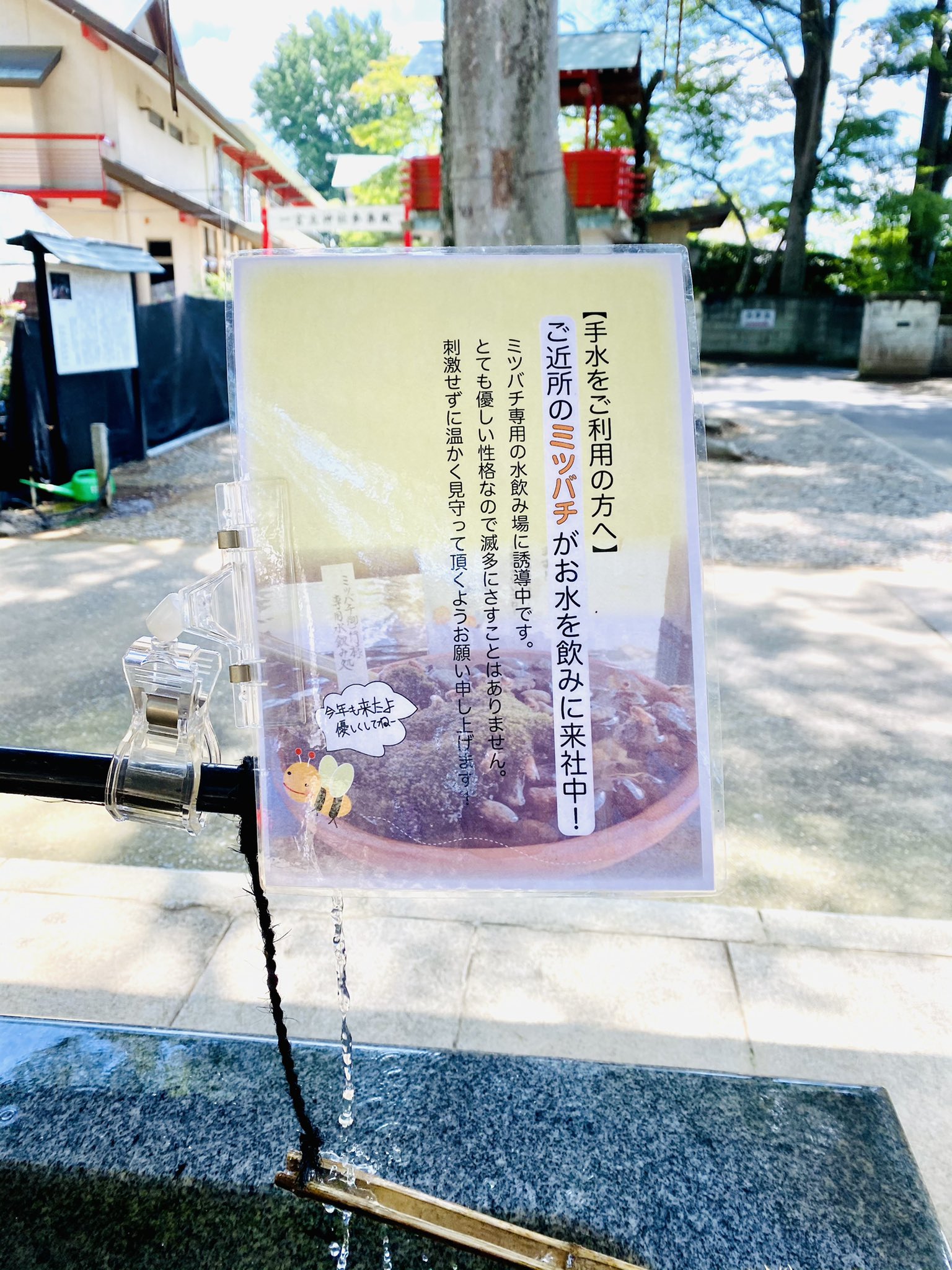 Japanese shrine creates special water fountain for thirsty bees