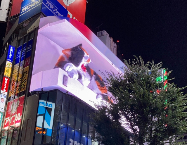 The best time to see Shinjuku’s giant new 3-D cat