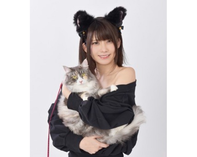 Cats and cosplay gravure models are the focus of numberone cosplayer