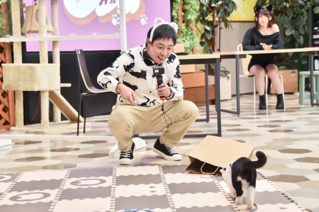 Tsukasa Wachi Full Video - Cats and cosplay gravure models are the focus of number-one cosplayer  Enako's new TV showã€Photosã€‘ | SoraNews24 -Japan News-
