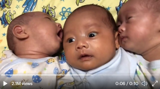 Cute cannibals — Japanese Internet falls in love with triplet babies “eating” brother【Video】