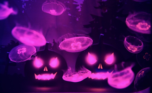 Jellyfish and Halloween in perfect harmony at Sumida Aquarium event