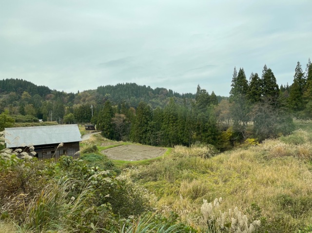 A visit to Japan’s mysterious Nose Hair Pond | SoraNews24 -Japan News-