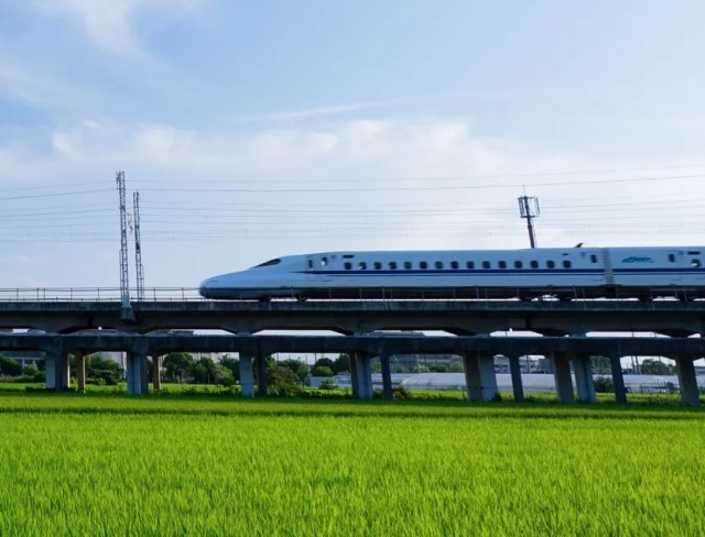 Shinkansen makes unscheduled stop as elderly man whacks other passenger in the head with phone
