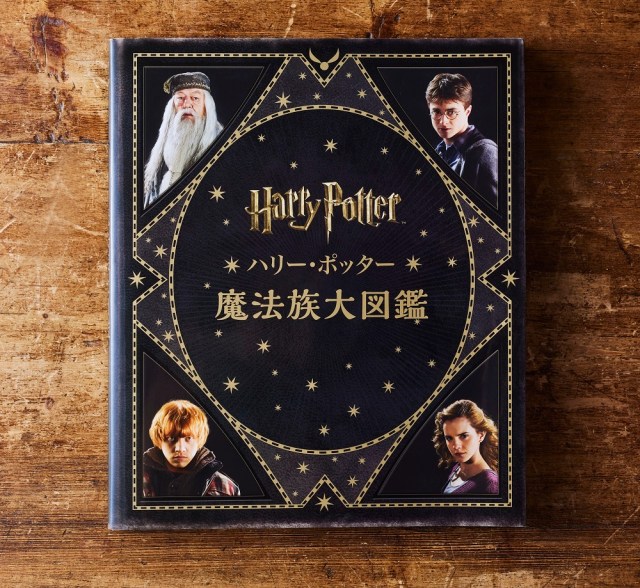 Harry Potter Washi Tape Set