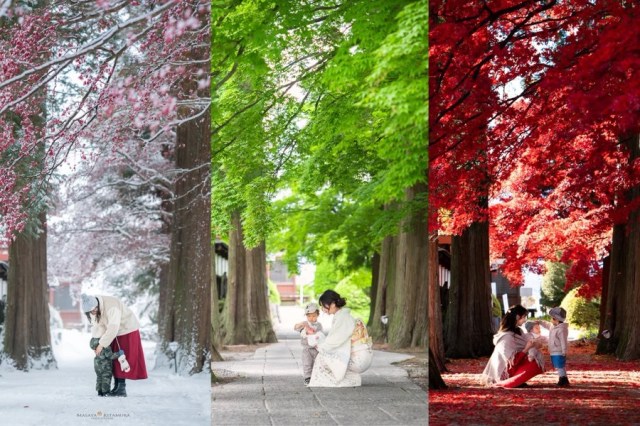 長野のこの美しい写真シリーズで変わるのは葉だけではありません。