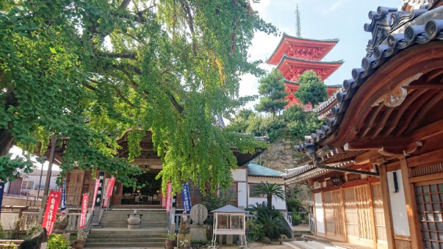 Online pilgrimages along Japan’s famous Shikoku Henro route begin later this year