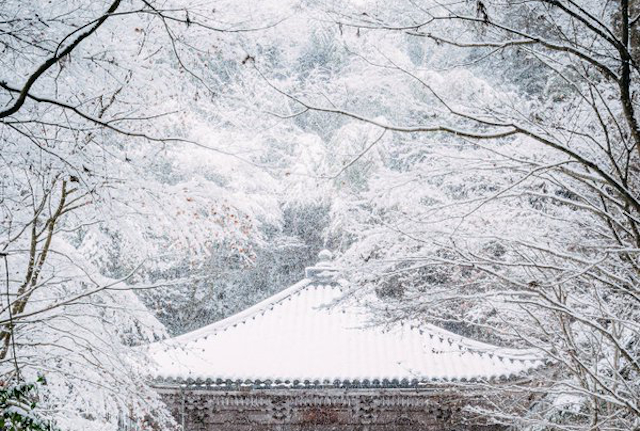 Photo of snowy Japanese temple wows people around the world