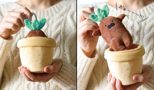Adorable mandrake root plushie that screams when you pull it out of its pot could be yours soon