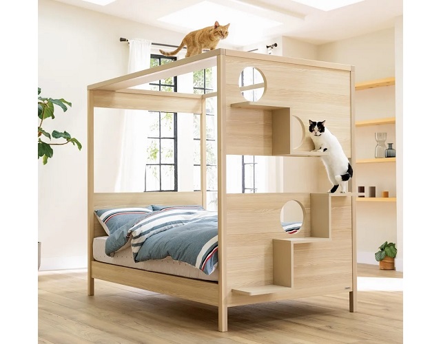 Japanese design company combines human bed and cat tower, proves felines are who runs the home
