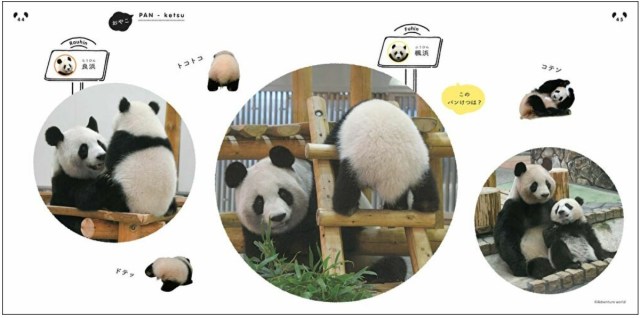 64-page book about panda butts selling out fast in Japan