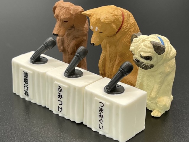 Cats and dogs apologising at Japanese press conference is our newest gacha  capsule toy obsession | SoraNews24 -Japan News-