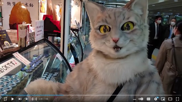 Nothing to see here — just a giant cat selling puddings in Japan