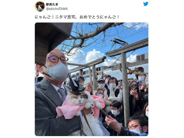 Cat becomes head priest at Japanese shrine