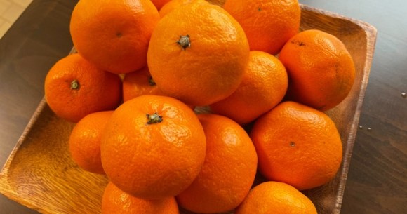 Who Knew 7 Mandarin Oranges Could Make You So Happy?! 