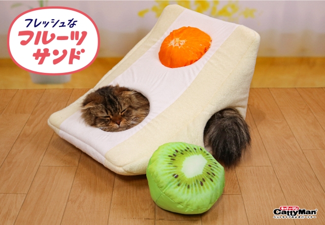 Cat sandwich clearance bed