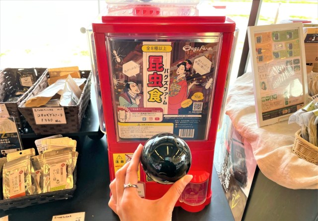 Capsule machine found in Nara with mystery edible insects