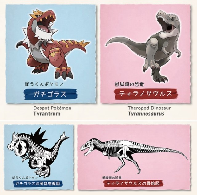 Pokémon skeletons and fossils now on display at Tokyo's National Museum of  Nature and Science | SoraNews24 -Japan News-