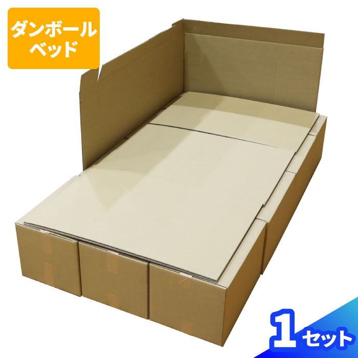 Cardboard bed