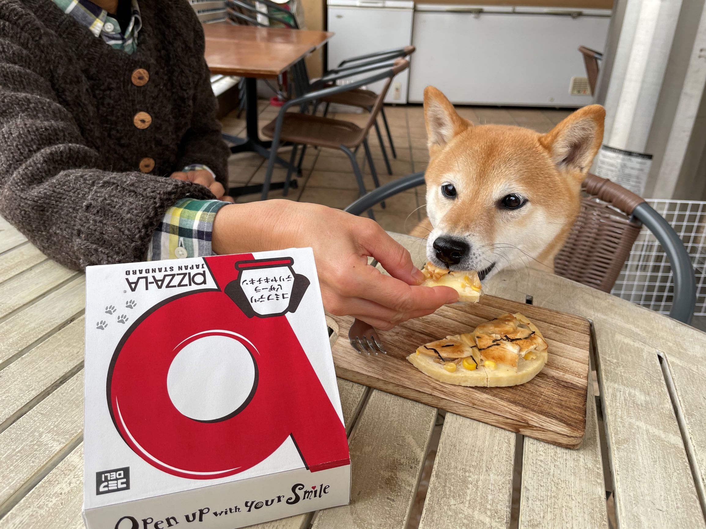 japan dog eating