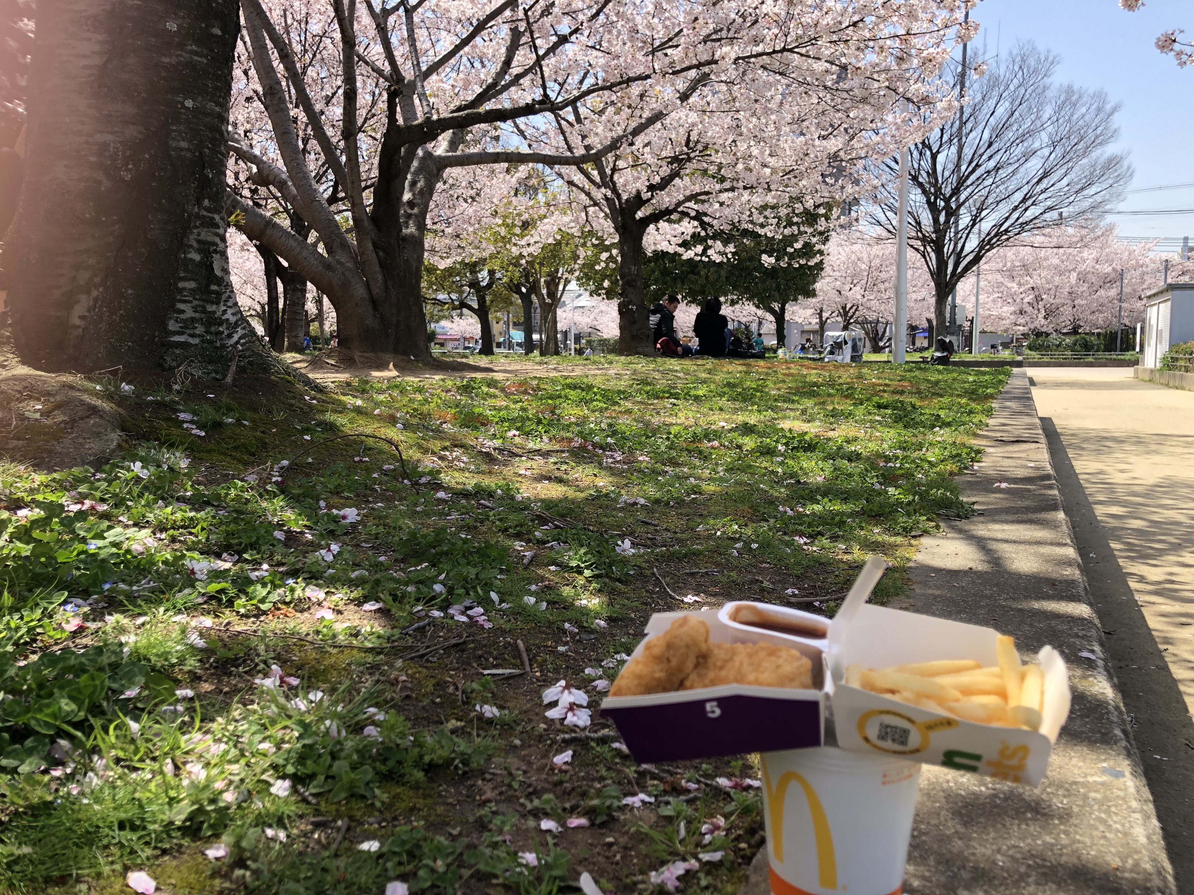 Enjoy one-handed cherry-bloom viewing picnic with this McHanami hack