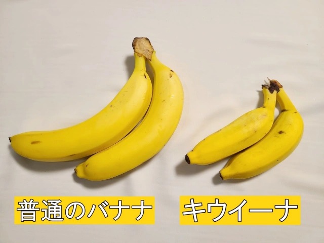 Kiwi-flavored” bananas Kiwi'na spotted at Japanese supermarkets