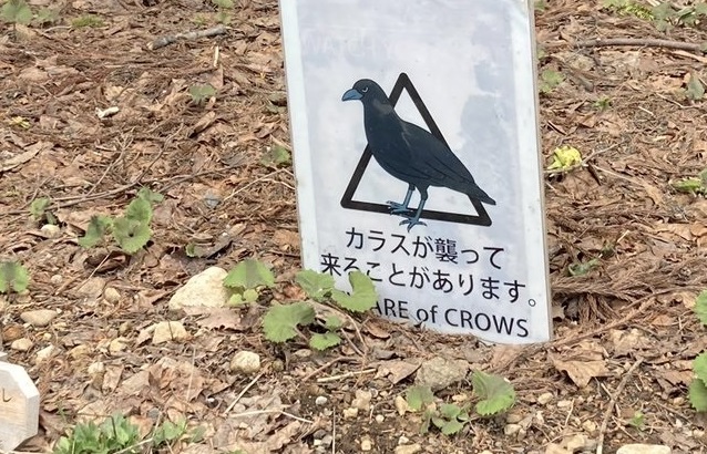 Japan’s most convincing “beware of crows” sign spotted