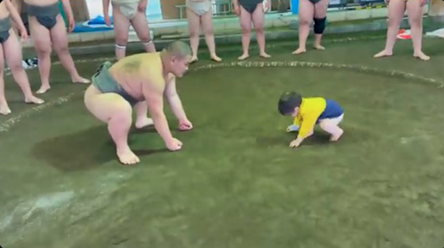 Sumo wrestler vs. 16-month-old toddler: The cutest match you’ll ever see【Video】