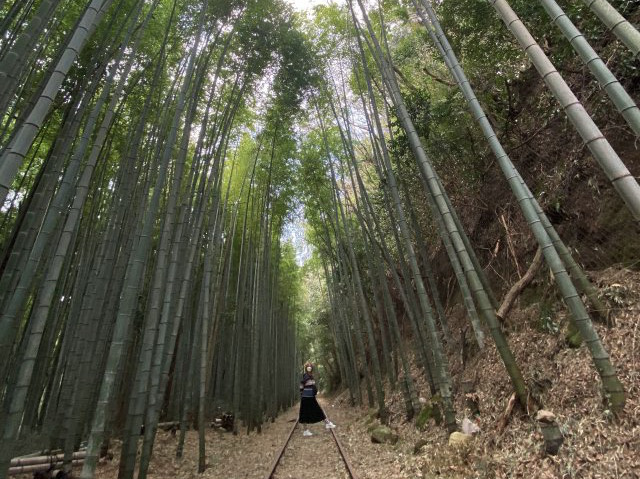 Travel off the beaten path to a secret spot in Japan where bamboo grows wild on an old train line
