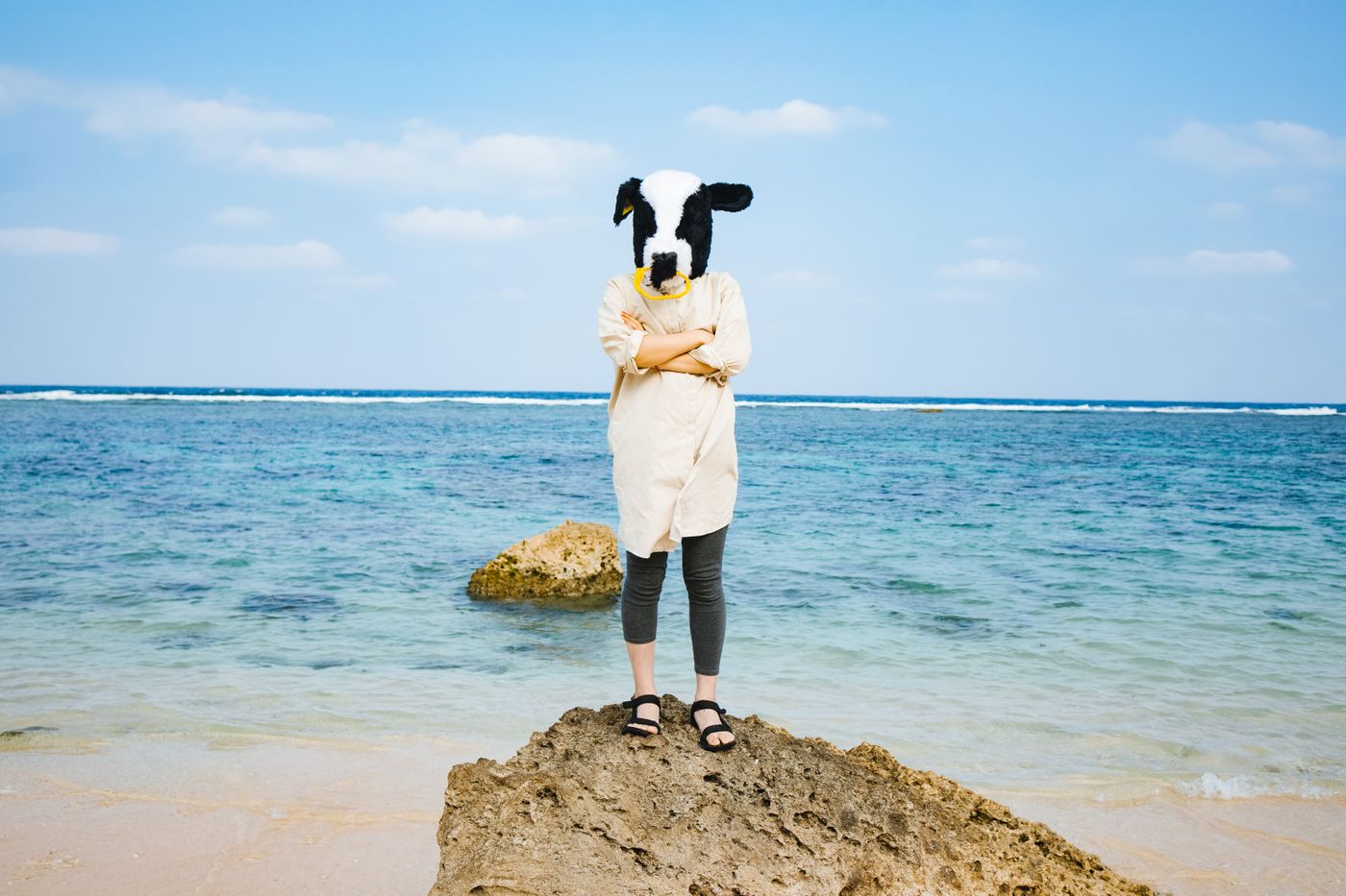 Why are there different counters for animals and people in Japanese