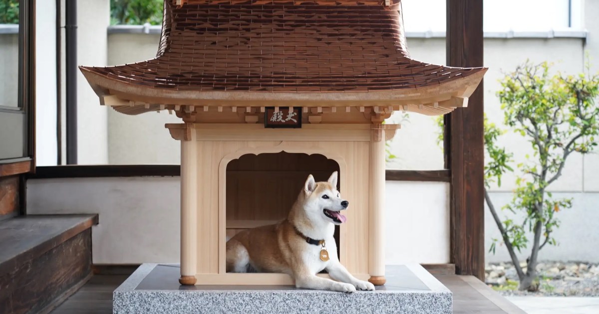 日本の寺院と寺院の職人は現在、世界で最高の犬小屋、犬小屋を建てています【画像