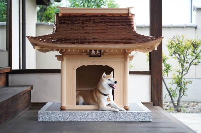 日本の神殿や神社の職人が世界で最もクールな犬小屋、犬小屋を建てています【写真】