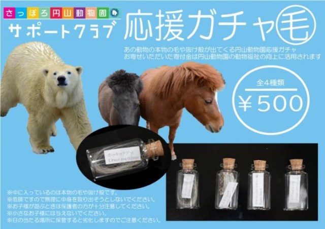Tufts of shed polar bear fur among the gacha prizes at Japan’s newest crazy capsule toy machine