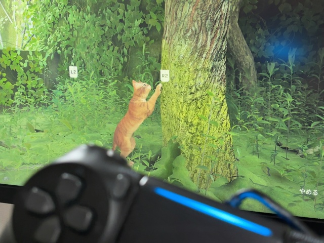 Japanese game fans, and our play tester, can’t get enough of sci-fi cat adventure Stray