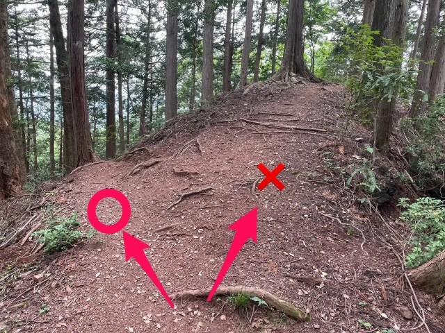 Japan’s five easiest-to-get-lost-on mountain trails are like alpine brain teasers【Photos】