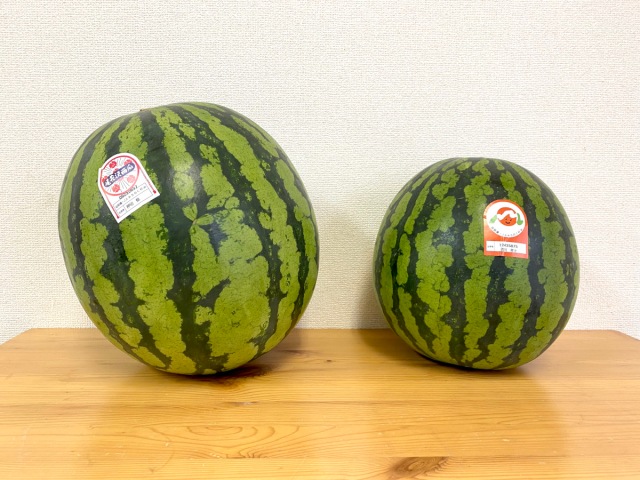 Can we pick out the expensive Japanese watermelon in a blind taste test?