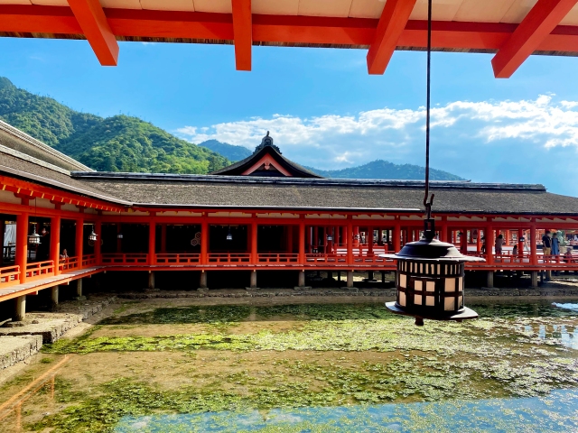 Travelling to Miyajima and Itsukushima Shrine? Best to be a glass-half-full type of tourist