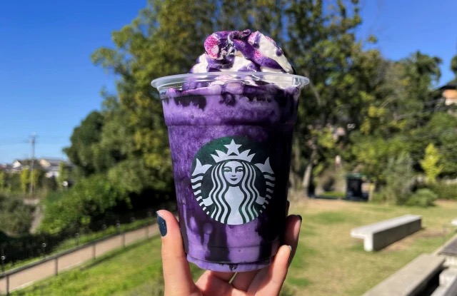 PRE ORDER Taiwan Halloween 2023 Starbucks Purple Stripes Soft Touch 24