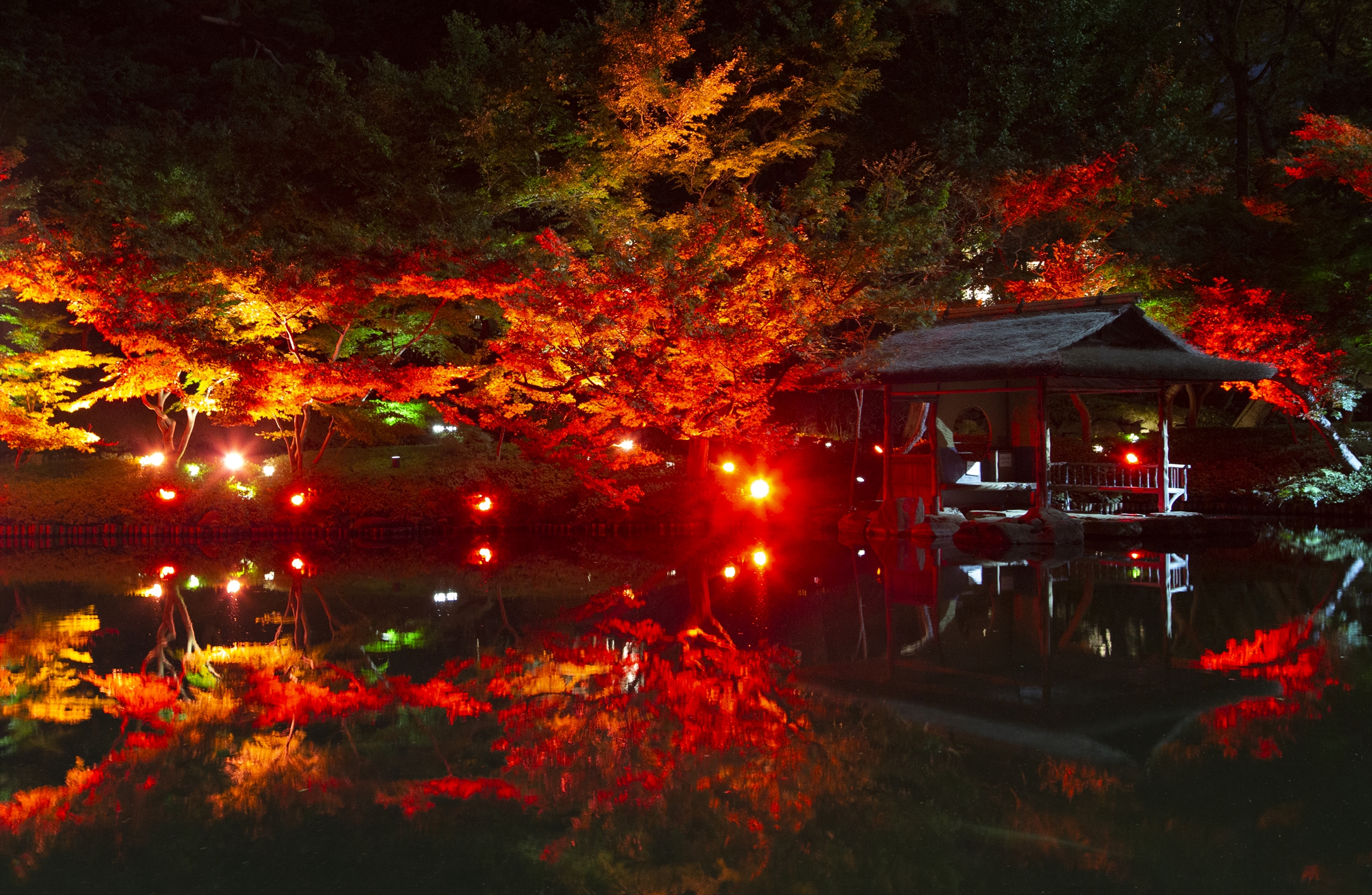 東京・八芳園で紅葉イルミネーションやポップアップバーなど秋祭りを開催