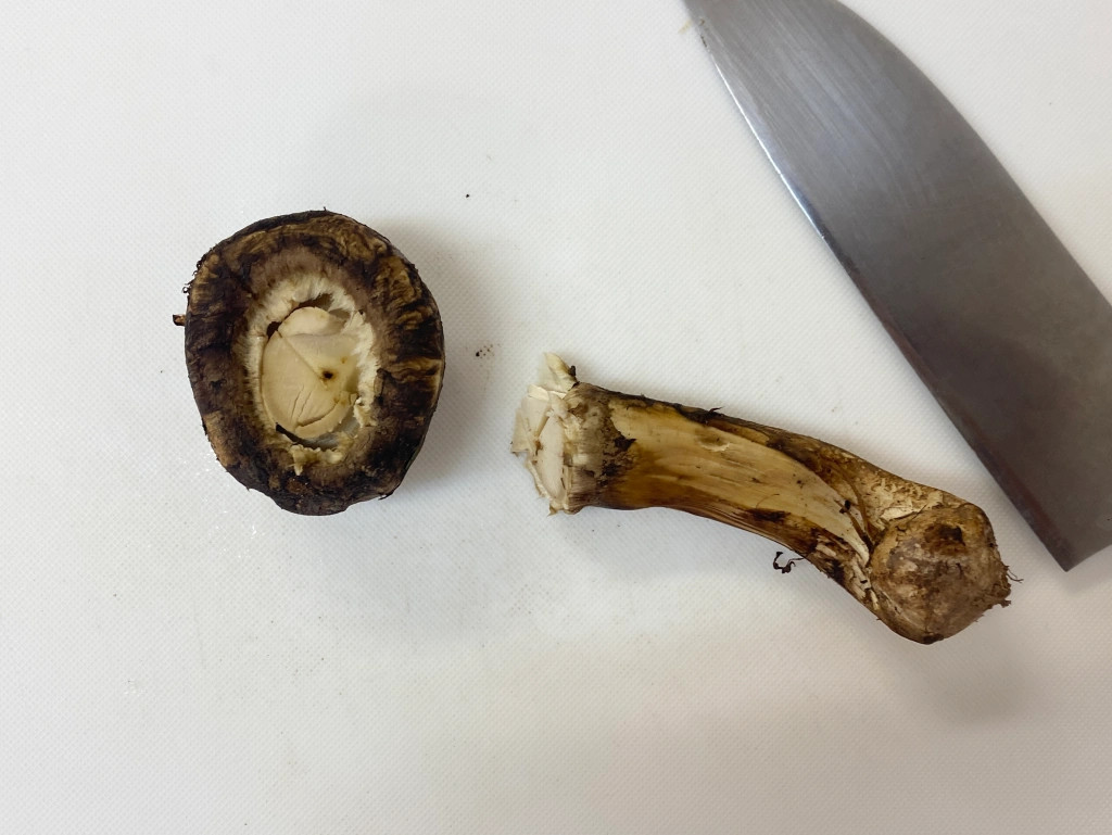 We make meatstuffed matsutake mushrooms and learn something important