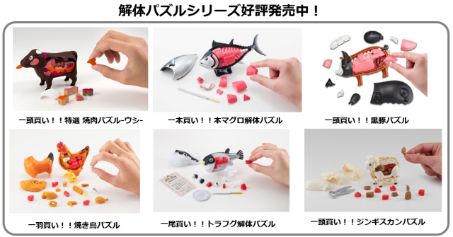 How well do you know your sushi? New 3-D puzzle toy from Japan helps you  become a salmon pro