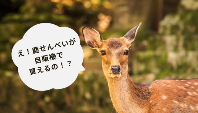 奈良県に鹿肉せんべいの自動販売機が登場
