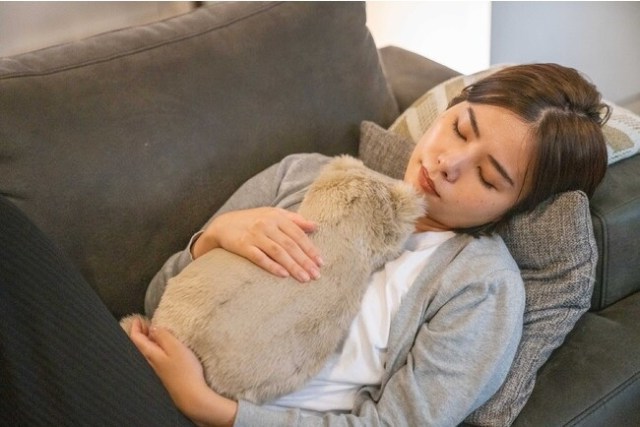 Japan’s purring cat cuddle cushions evolve into an even higher form of virtual pet life【Photos】